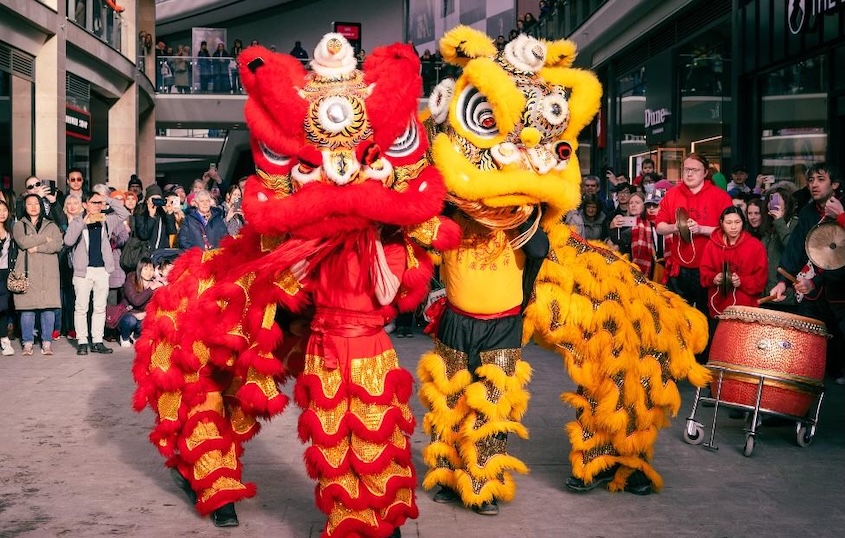 Two individuals in lion costumes dancing to the beat of the drum during Chinese New Year celebrations
