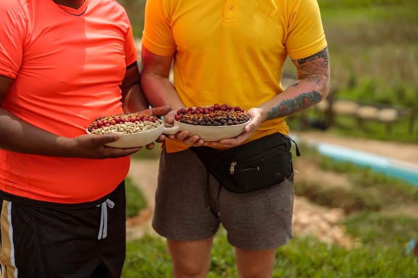 Ivory Coast's Cocoa Price Slash: A Bitter Pill for Farmers, Sweet Relief for US Chocolate Lovers?