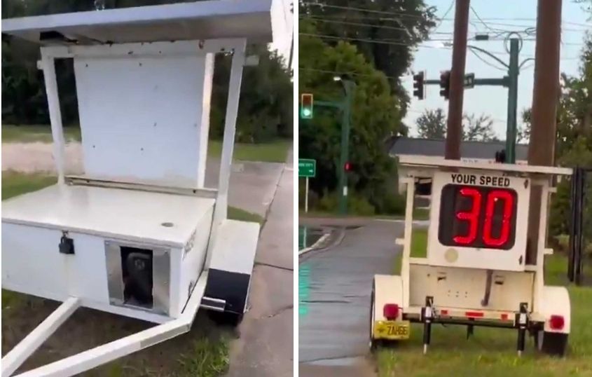 Flock Cameras Are Now Hiding In Speed Signs